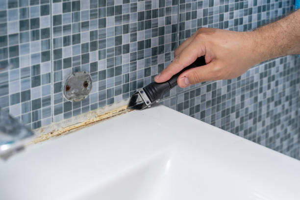 Best White Mold Remediation in Budd Lake, NJ